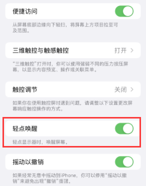 龙城苹果授权维修站分享iPhone轻点无法唤醒怎么办 