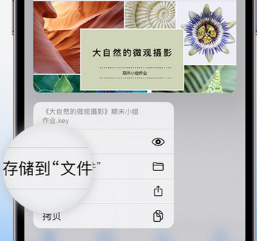 龙城apple维修中心分享iPhone文件应用中存储和找到下载文件