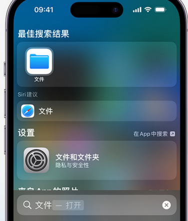 龙城apple维修中心分享iPhone文件应用中存储和找到下载文件