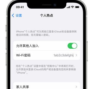 龙城apple服务站点分享iPhone上个人热点丢失了怎么办 