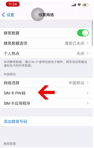 龙城苹果14维修网分享如何给iPhone14的SIM卡设置密码 