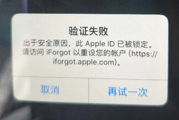 龙城iPhone维修分享iPhone上正常登录或使用AppleID怎么办 