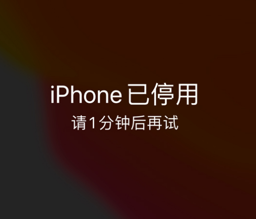 龙城苹果手机维修分享:iPhone 显示“不可用”或“已停用”怎么办？还能保留数据吗？ 