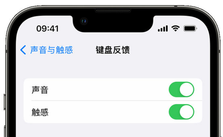 龙城苹果手机维修分享iPhone 14触感键盘使用方法 