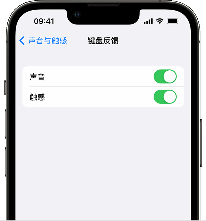 龙城苹果14维修店分享如何在 iPhone 14 机型中使用触感键盘 