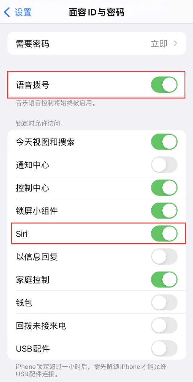 龙城苹果维修网点分享不解锁 iPhone 的情况下通过 Siri 拨打电话的方法 