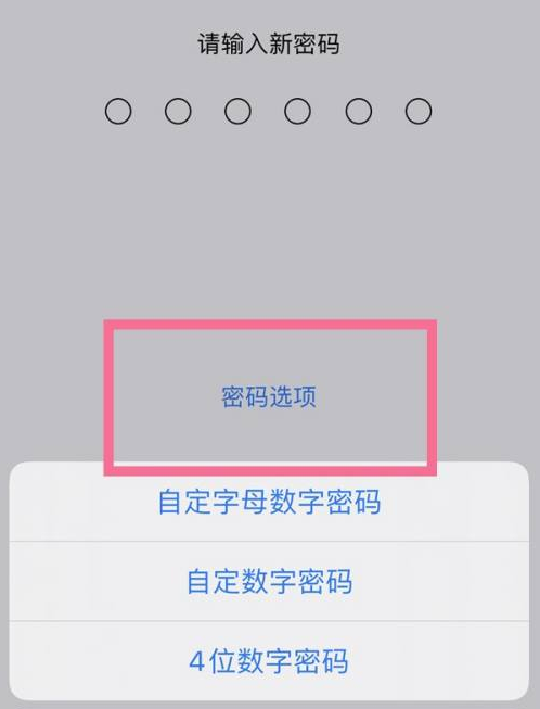 龙城苹果14维修分享iPhone 14plus设置密码的方法 