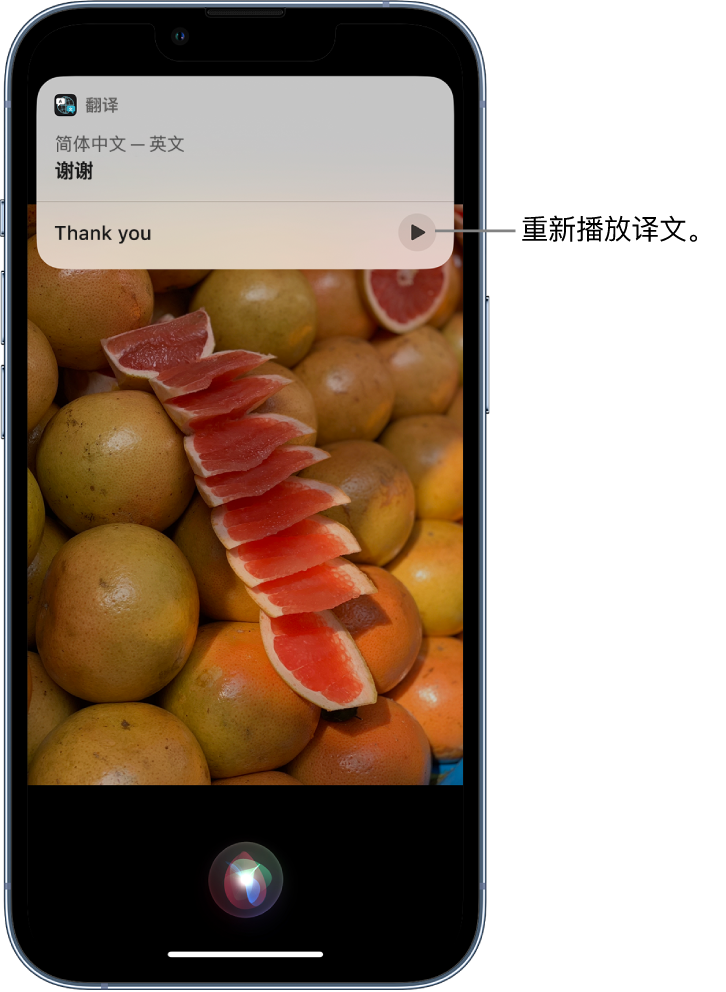 龙城苹果14维修分享 iPhone 14 机型中使用 Siri：了解 Siri 能帮你做什么 