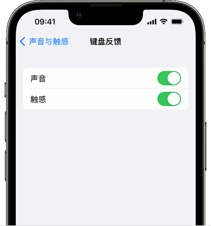 龙城苹果14维修分享iPhone 14 系列机型如何开启键盘声音或触感反馈 