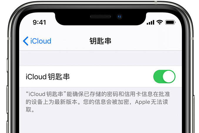 龙城苹果手机维修分享在 iPhone 上开启 iCloud 钥匙串之后会储存哪些信息 