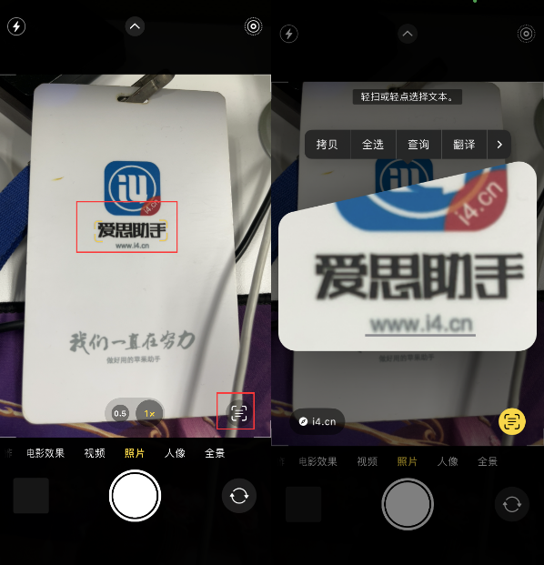 龙城苹果手机维修分享升级iOS 16后如何通过相机翻译文本 