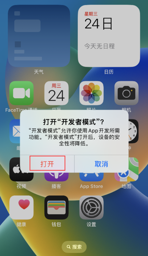 龙城苹果手机维修分享如何打开开发者模式 