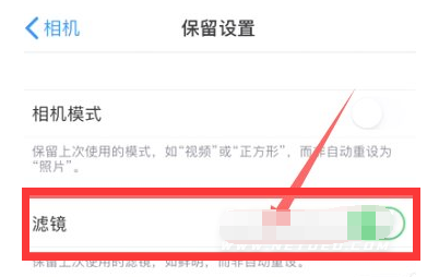 龙城苹果13维修分享iPhone13拍照有绿点是怎么回事 