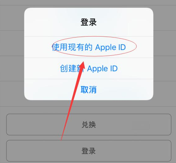 龙城苹果手机维修分享两台iPhone设备可以同时登录一个Apple ID吗 