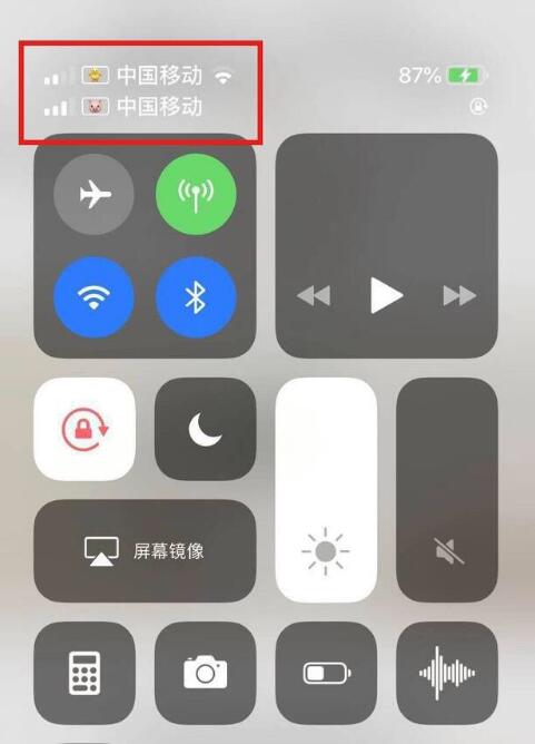 龙城苹果手机维修分享为 iPhone 12 双卡设置标签 