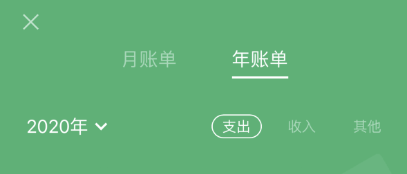 龙城苹果手机维修分享如何在 iPhone 上查看支付宝和微信年支出账单 
